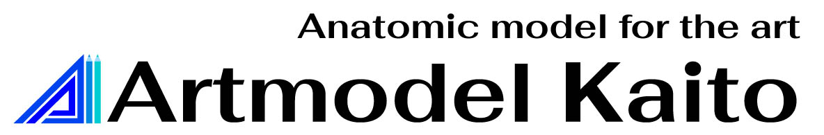 美術解剖学モデル・海斗